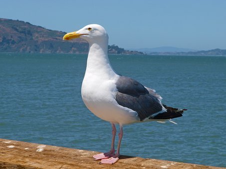 159042