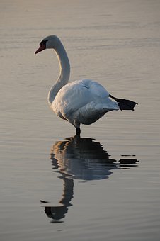 240355