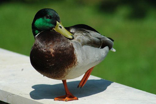 47928