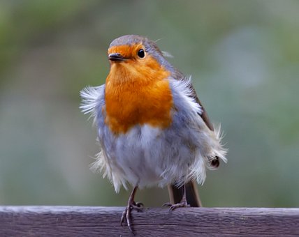 155125
