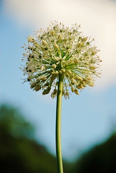 155317