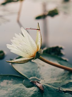 27072