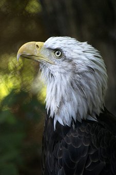 77902