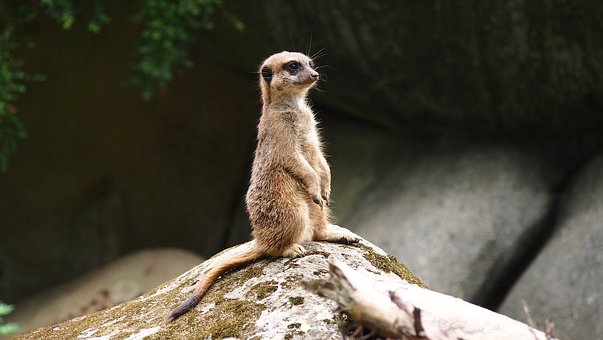 100608