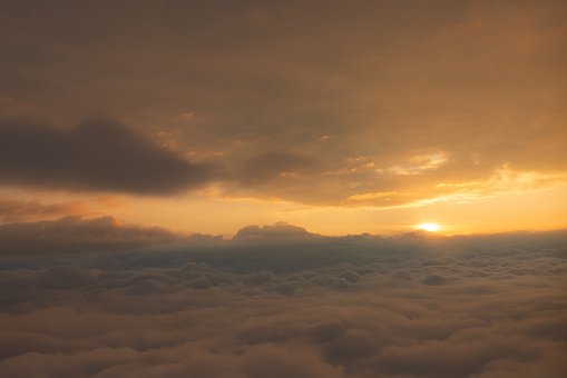292542