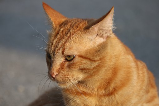 338555