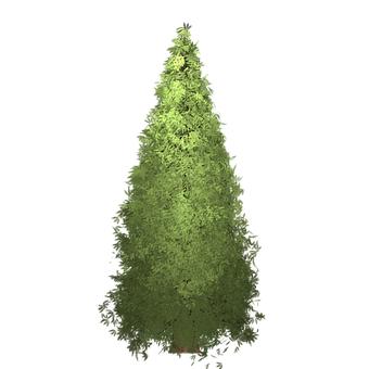332226