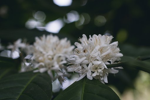 261060