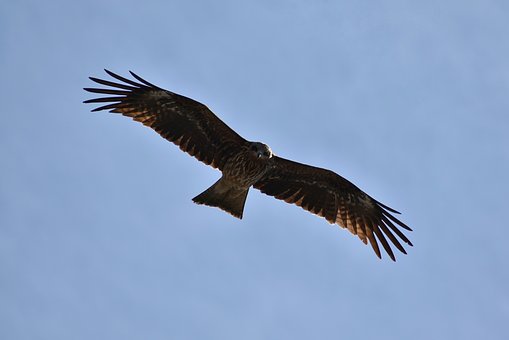 280865
