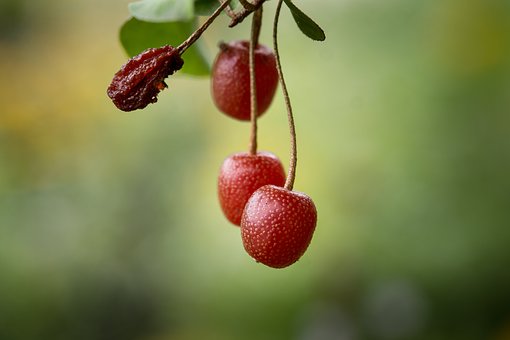165873