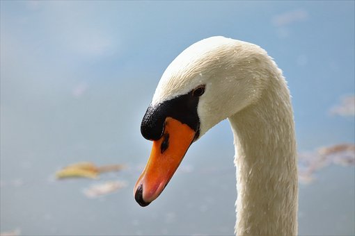 330713