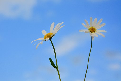 110450