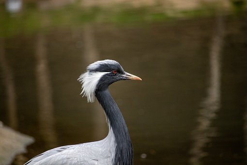 236034
