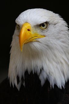 316375