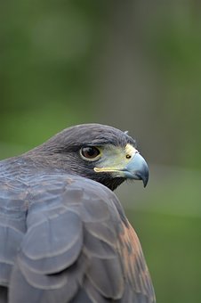 89569