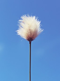 309916
