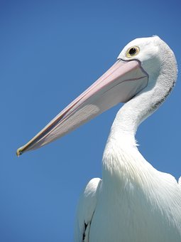 299821