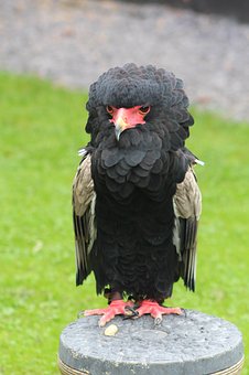 259935