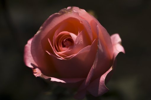 12662