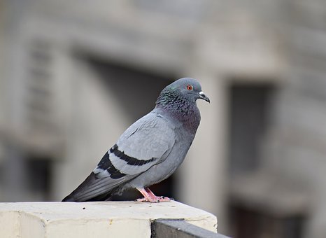 95354