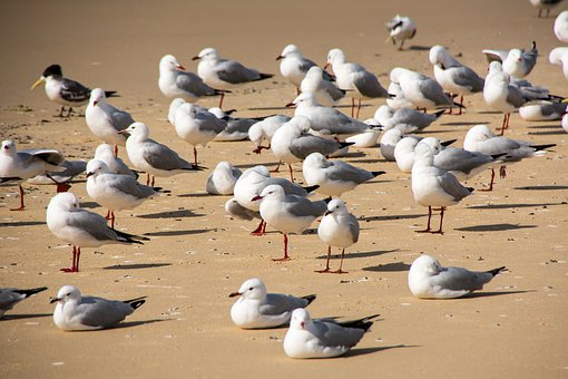342916