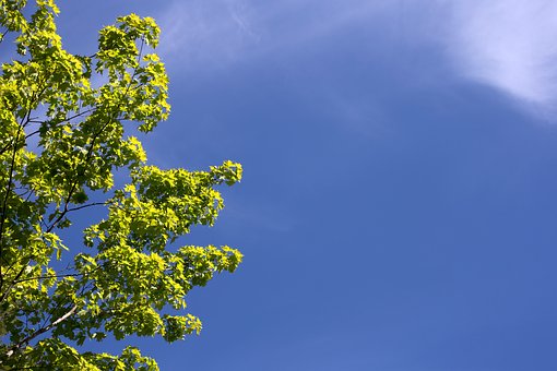 134567