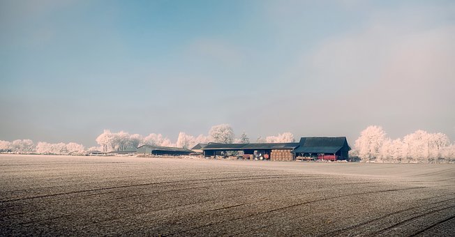217425