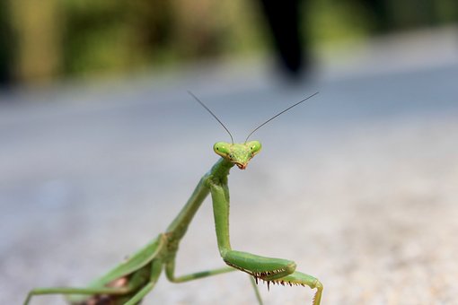 3796