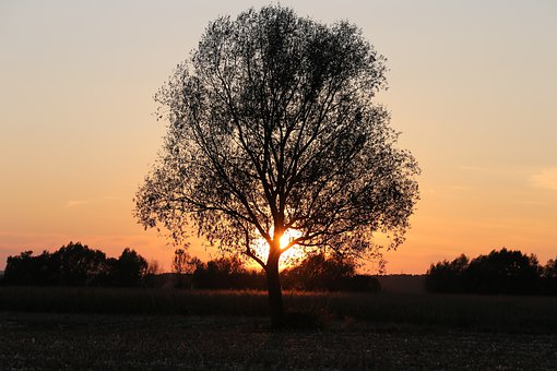 94423