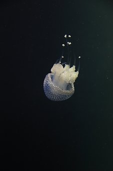 132287