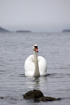 94737