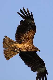 329042
