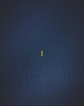236019