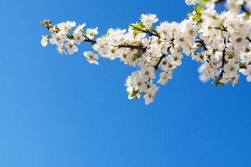 8037