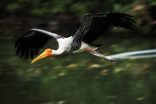 290657