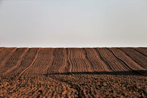 189335