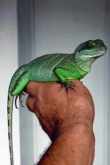 30908