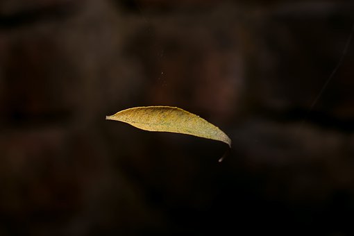 101617