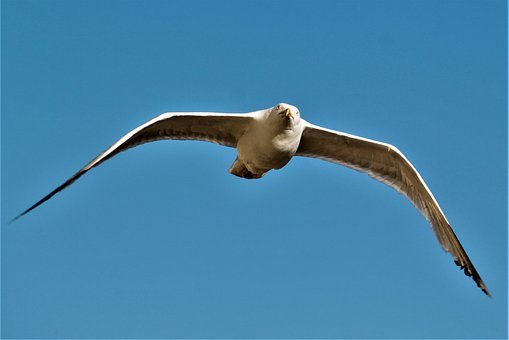 9319