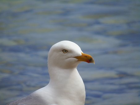 242647