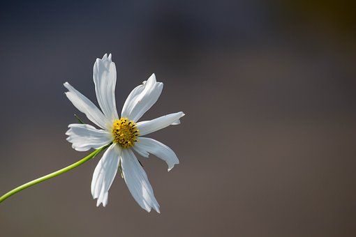 328599