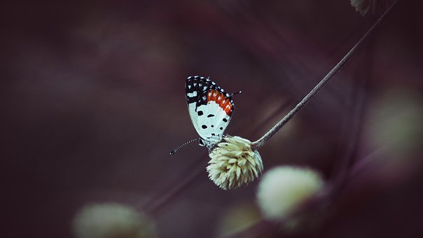 108157