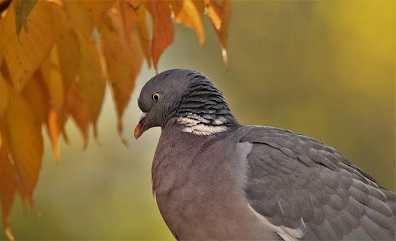 47169