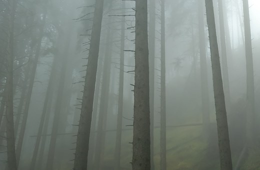 122871