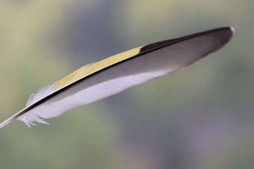 209119