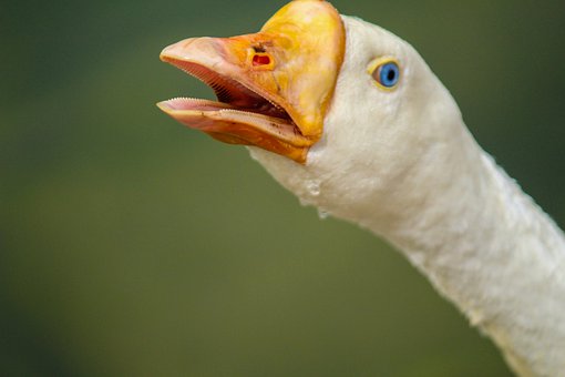255616