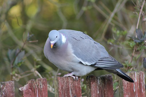 285255