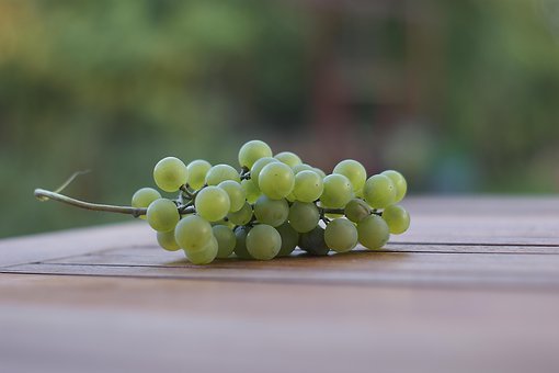 48101