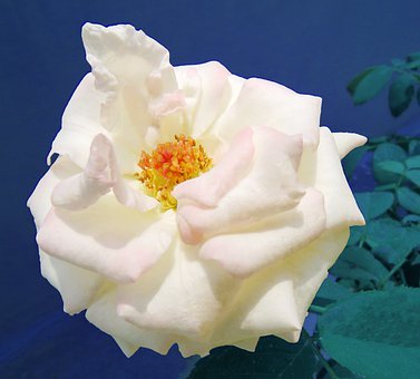 191087