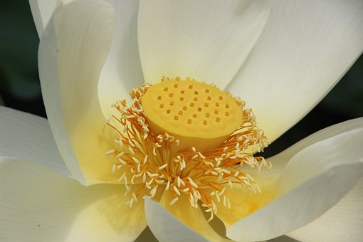 81750